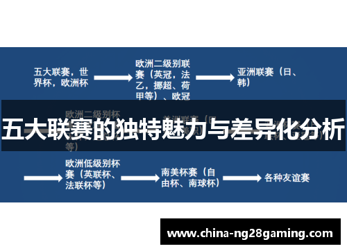 五大联赛的独特魅力与差异化分析